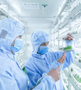 粉色APP导航官网入口技术