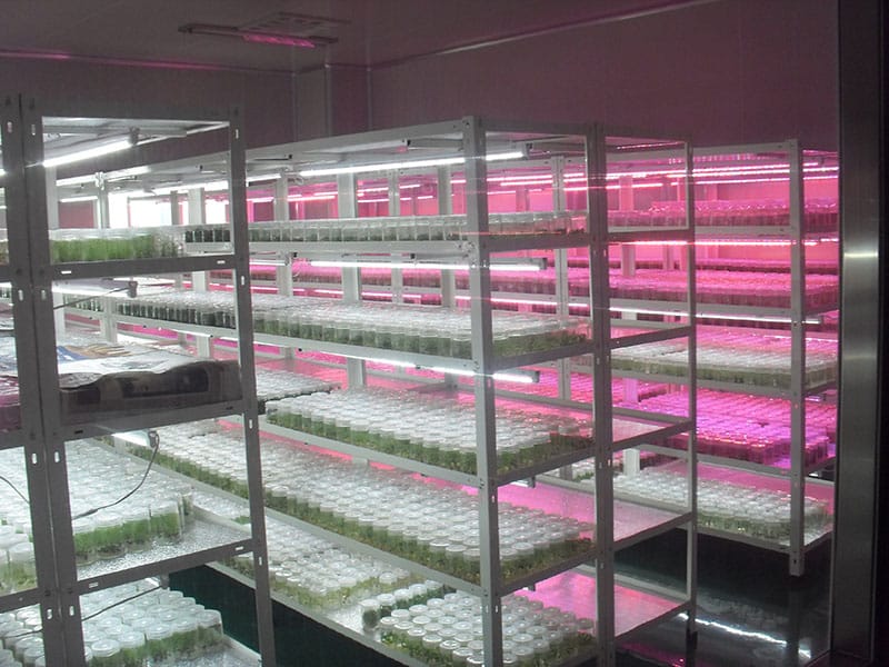 蓝莓粉色APP导航官网入口室及仪器设备