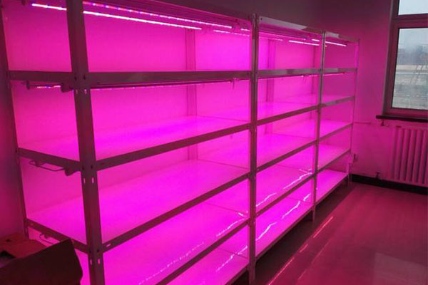 粉色APP导航官网入口仪器厂家