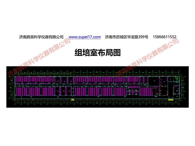 浙江植物粉色APP导航官网入口实验