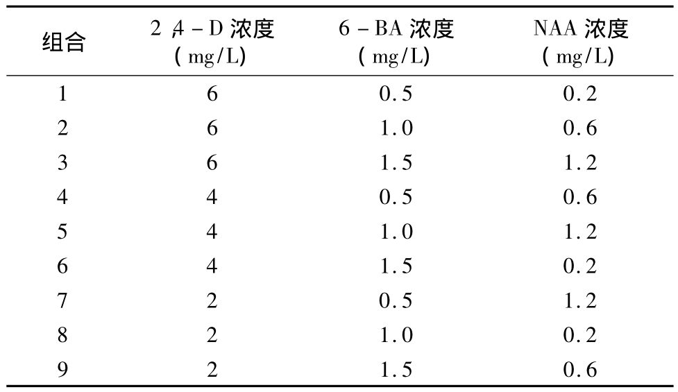 粉色APP导航官网入口实验室