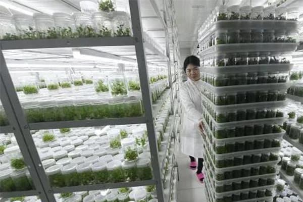 植物粉色APP导航官网入口