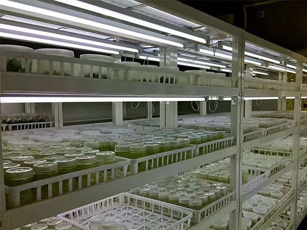 粉色APP导航官网入口设备