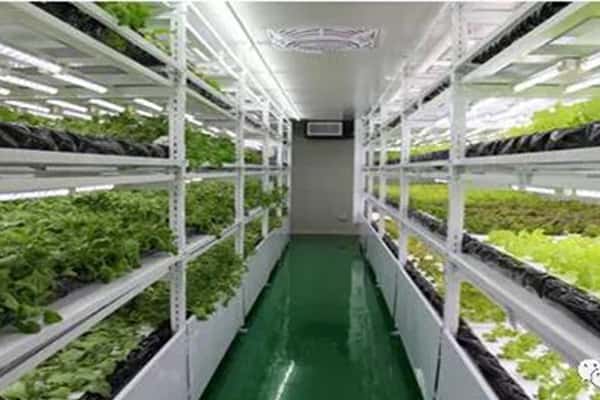 粉色APP导航官网入口