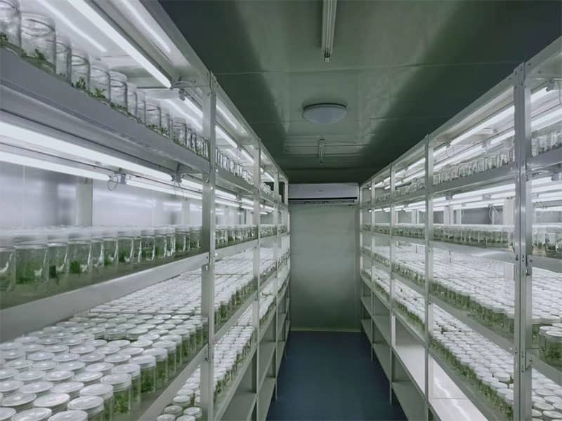 粉色APP导航官网入口  粉色APP导航官网入口设备  植物粉色APP导航官网入口
