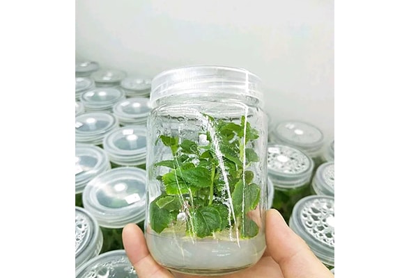 粉色APP导航官网入口设备