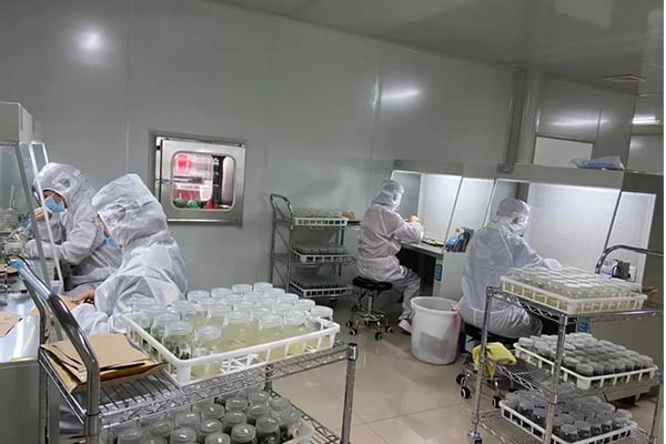 粉色APP导航官网入口