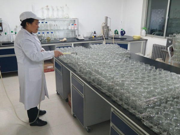 粉色APP导航官网入口室设计